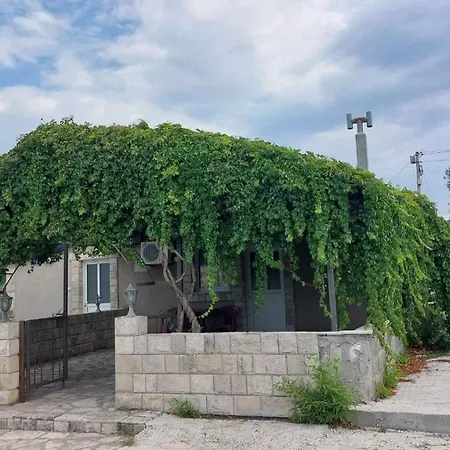 Airport Golubovci 2
